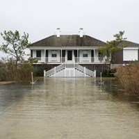 Портфолио Martha Patty